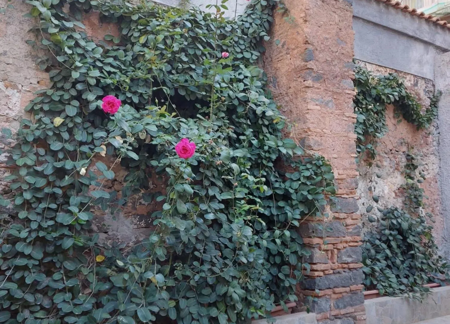 Villa La Casina Di Lu CTA